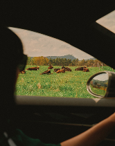 Funding the Commons: TOR